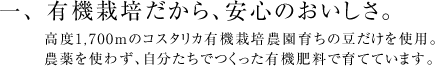 一、有機栽培だから、安心のおいしさ。高度1700mのコスタリカ有機栽培農園育ちの豆だけを使用。農薬を使わず、自分たちでつくった有機肥料で育てています。