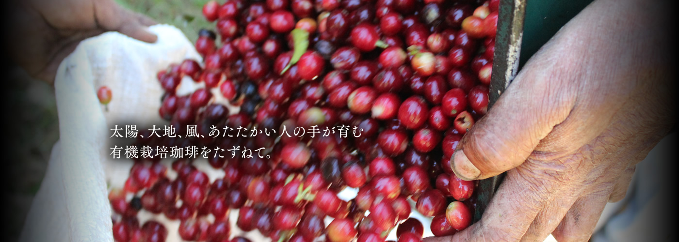 太陽、大地、風、温かい人の手が育む有機栽培珈琲をたずねて。