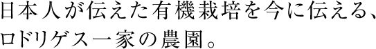 日本人が伝えた有機栽培を今に伝える、ロドリゲス一家の農園。