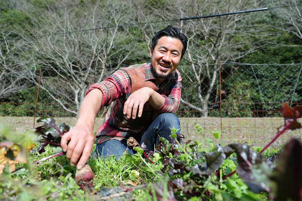 福岡県久山町 イタリア野菜