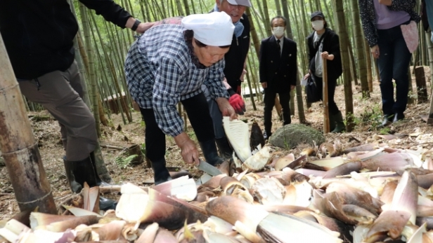 4月の旬を楽しむ～長野おばあちゃんと筍堀り～